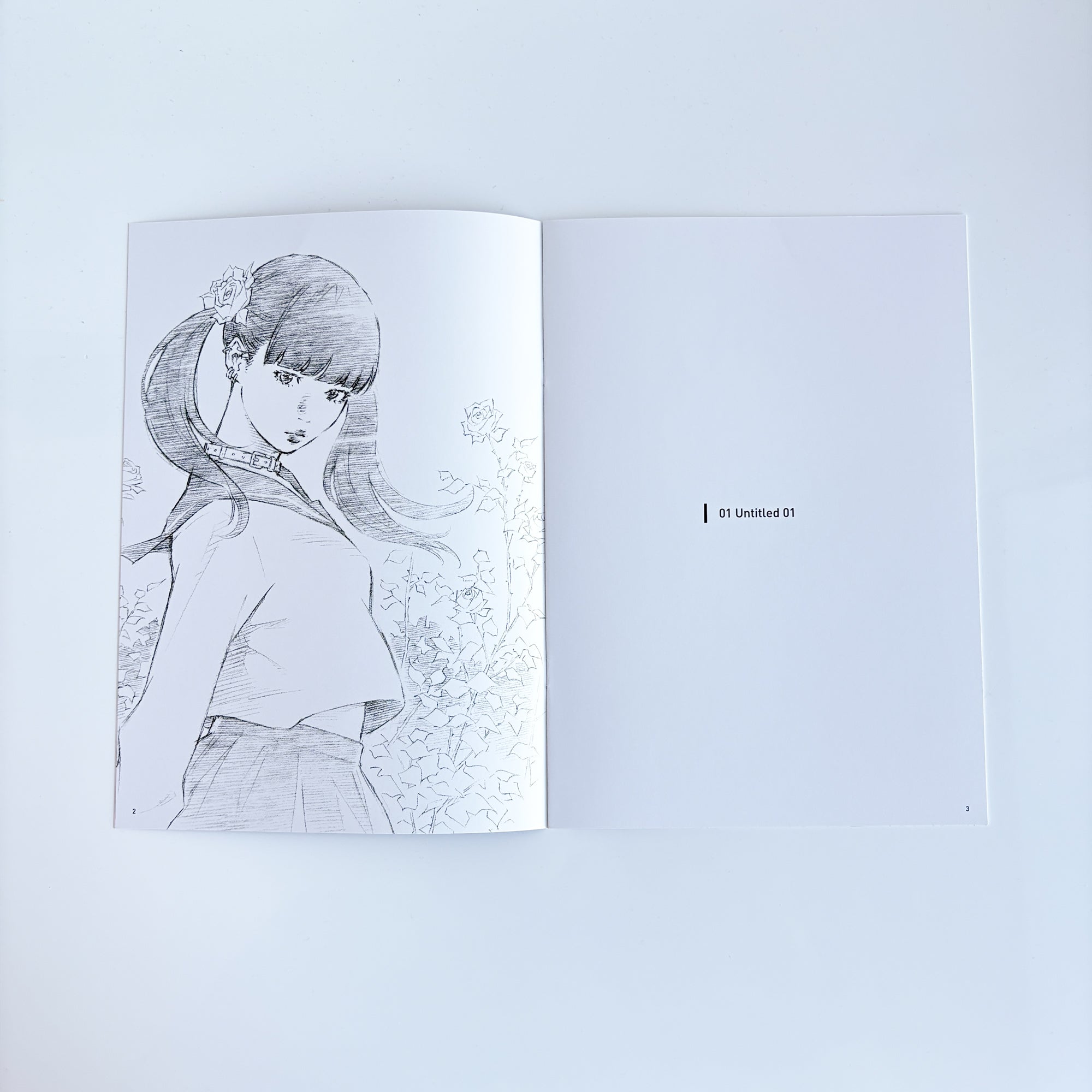 Zine / File Folder Set