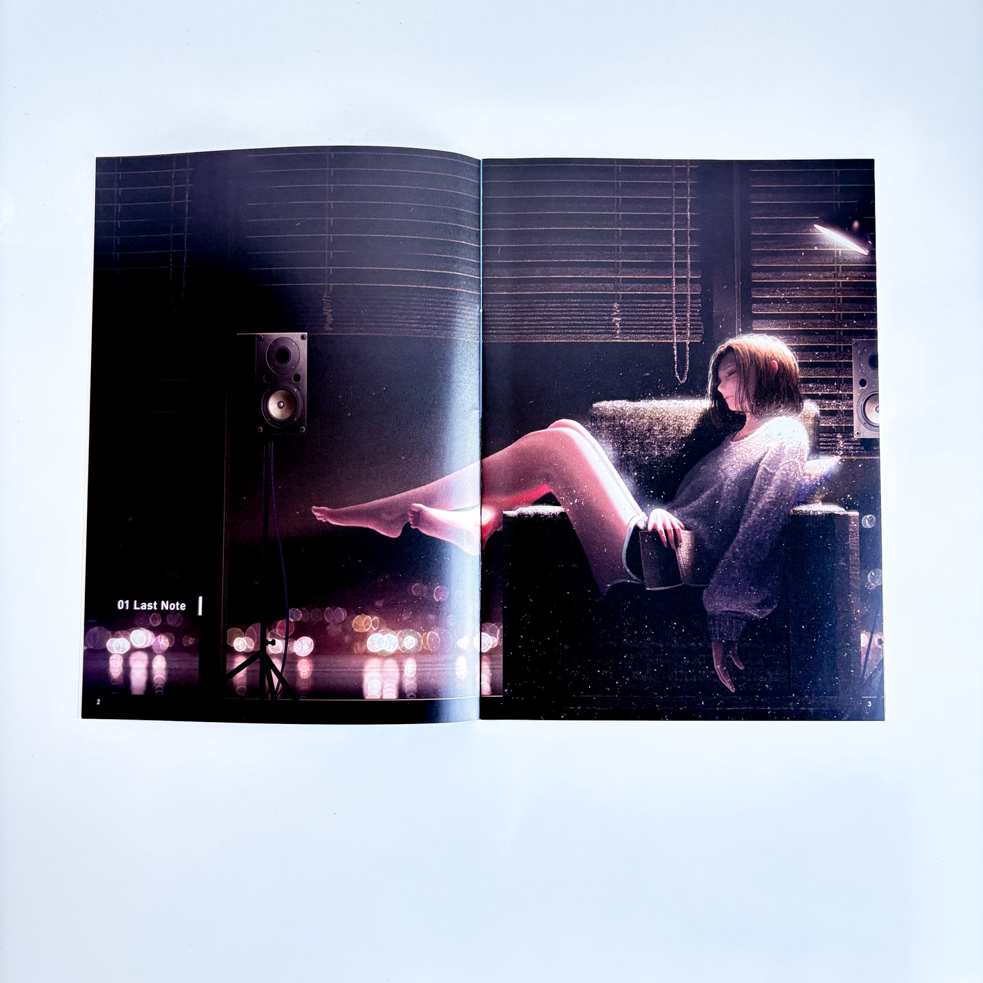 Zine / File folder set