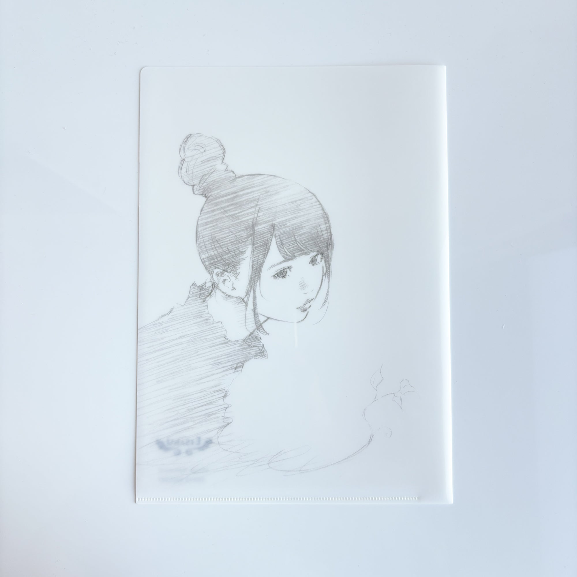 Zine / File Folder Set